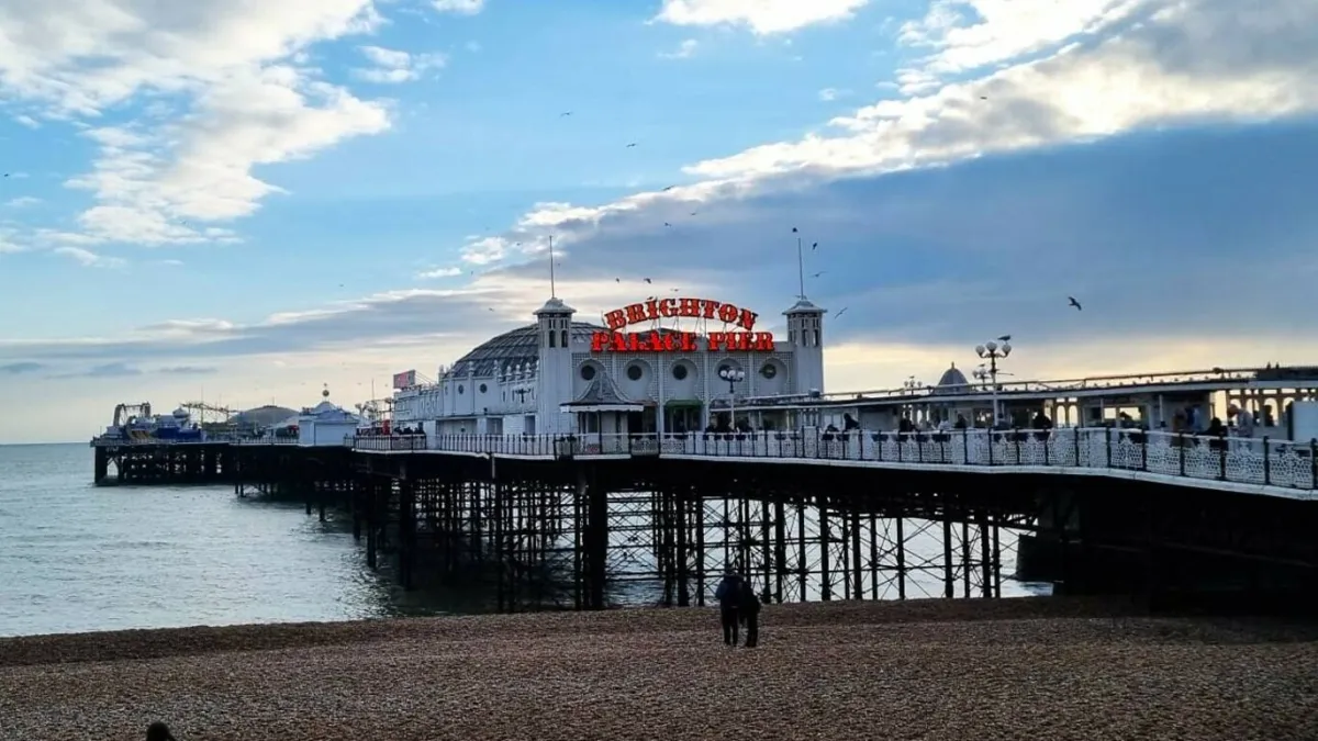 Brighton & Hove Albion